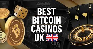 Win Diggers Online Casino Review