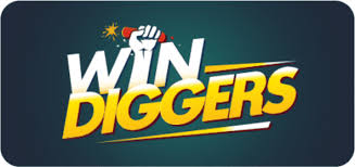 WinDiggers Casino No Down Payment Incentive Login & Evaluation