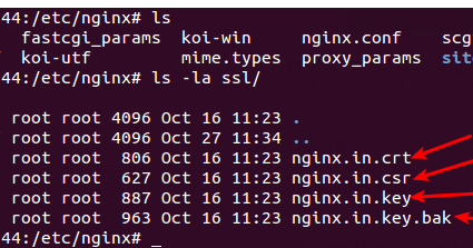 Reverse Proxy: Do You Actually Need One?